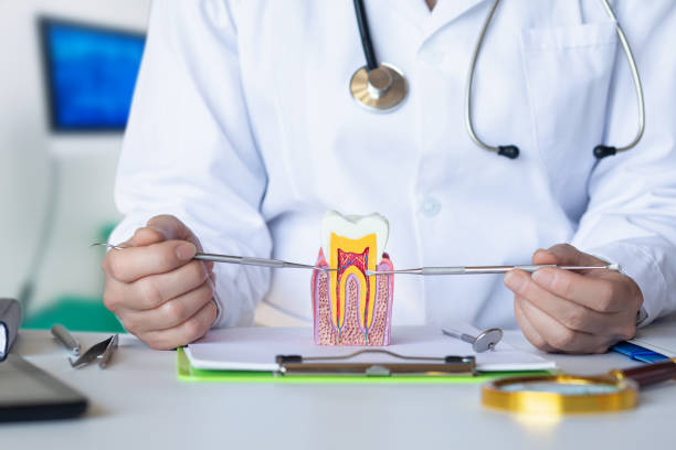 Best Weekend Emergency Dentist in Mckinney, TX
